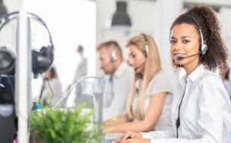 Information in Noise. Two Techniques for Visualizing Many… | by Lenix Carter | Sep, 2024