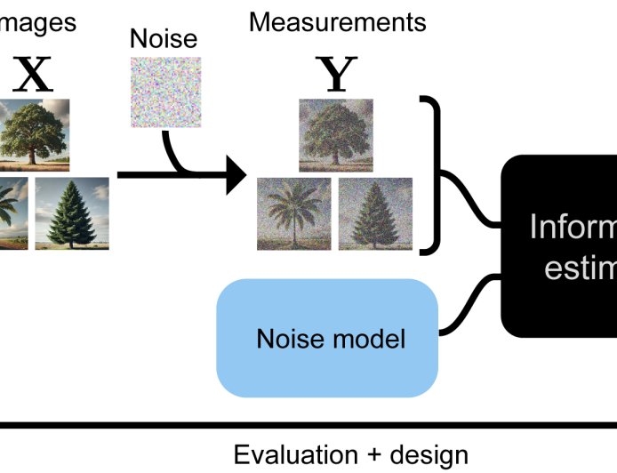 Information-Driven Design of Imaging Systems